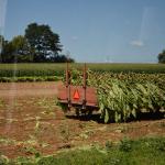 2017OTRA-1_399 (August 24, 2017)